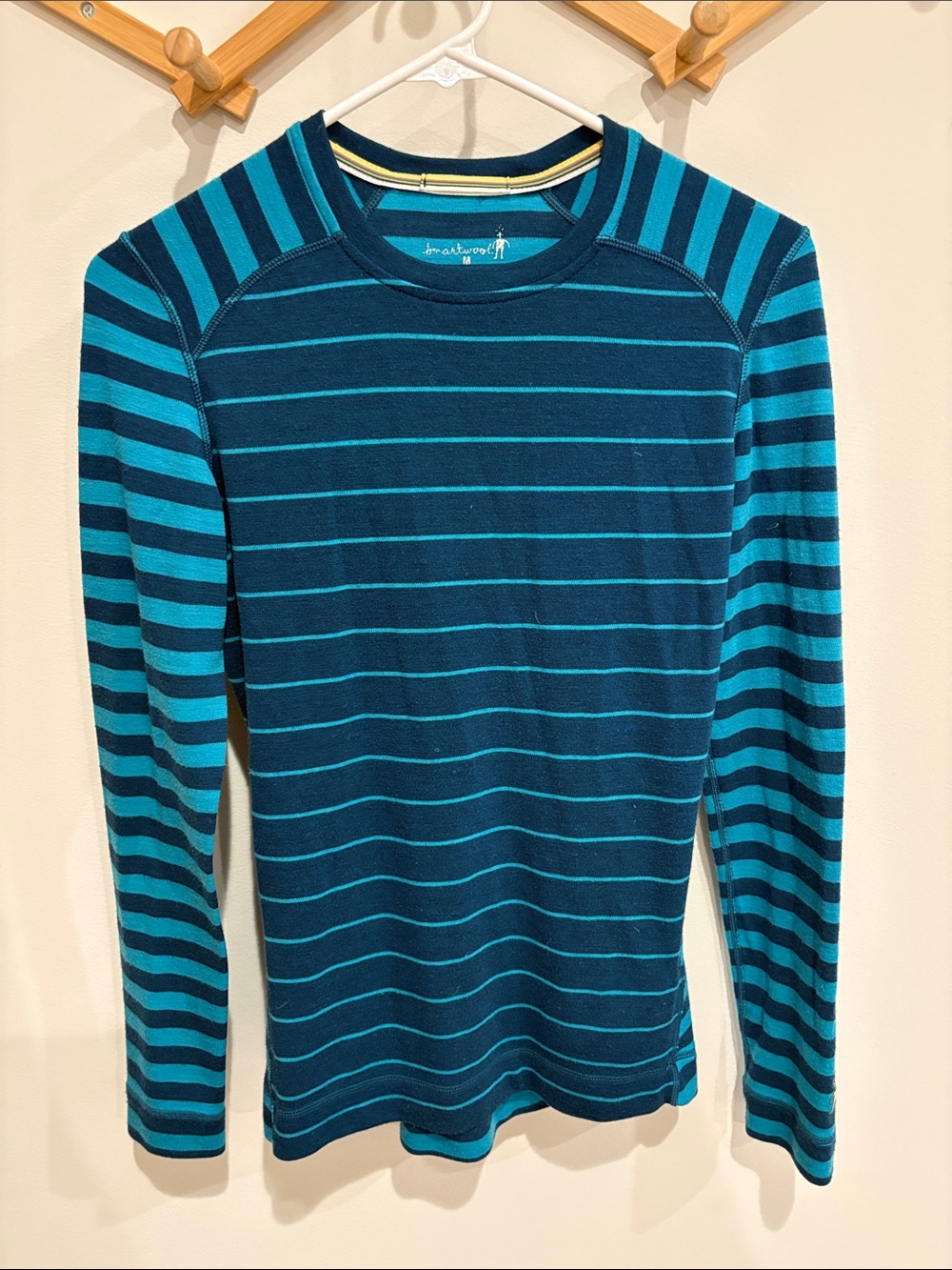 Smartwool 250 Thermal Merino Base Layer Crew Womens Medium Shirt Striped Blue